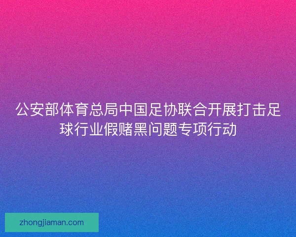 公安部体育总局中国足协联合开展打击足球行业假赌黑问题专项行动